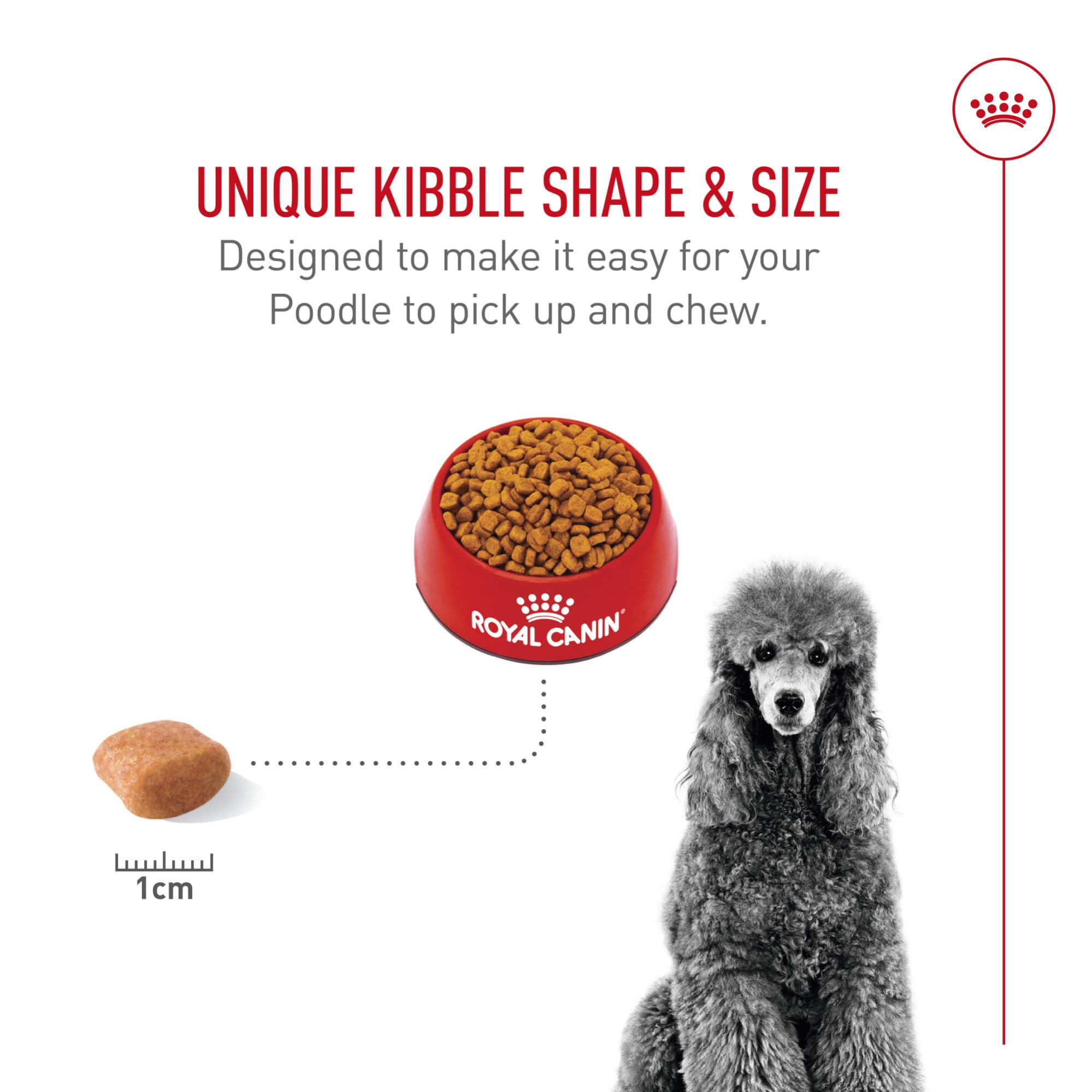 Royal Canin Poodle Adult, antioxidantes para envejecimiento saludable.