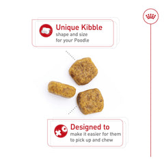 Royal Canin Poodle Adult EPA-DHA para piel y pelaje.