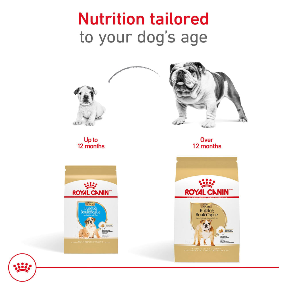 Royal Canin Bulldog Adult: EPA y DHA para articulaciones y peso equilibrado.