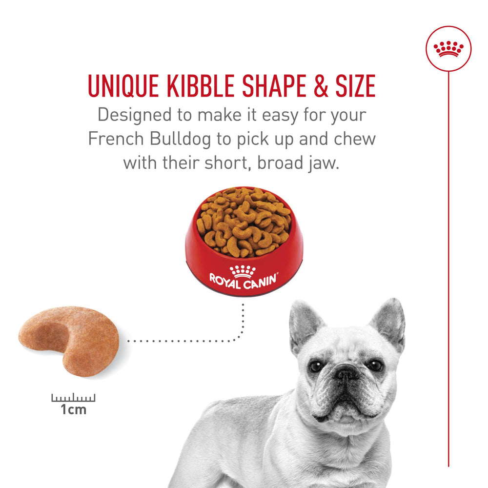 Royal Canin Bulldog Francés: nutrición para una digestión equilibrada y menos gases