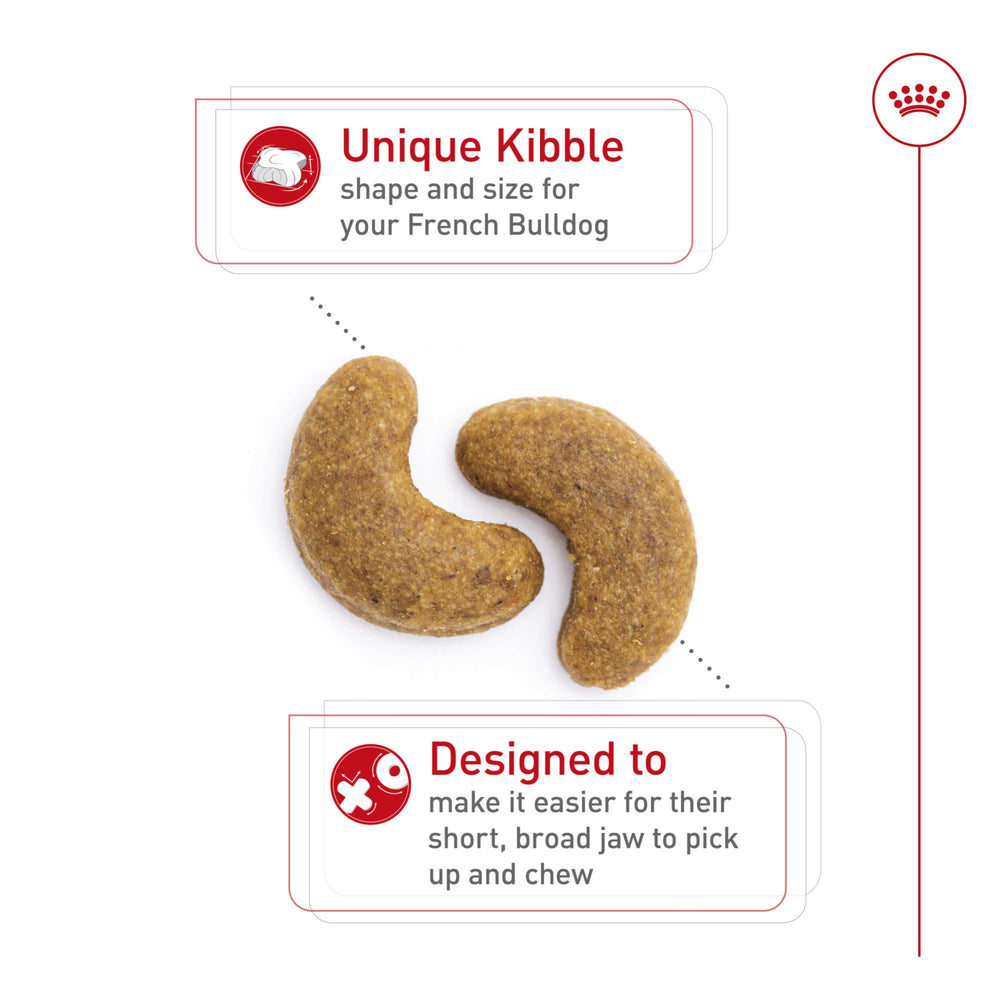 Royal Canin Bulldog Francés: apoyo al tono muscular con proteínas de alta digestibilidad