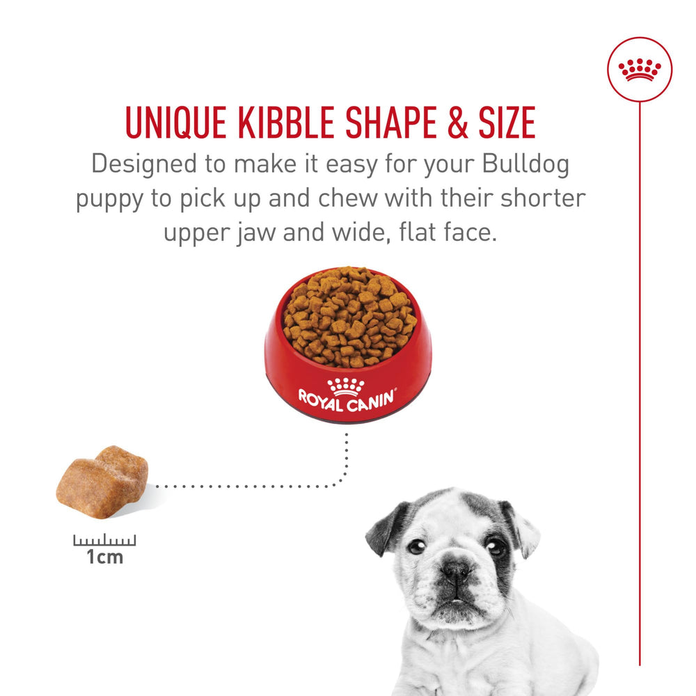 ROYAL CANIN Bulldog Puppy minerales para huesos y articulaciones sanos.
