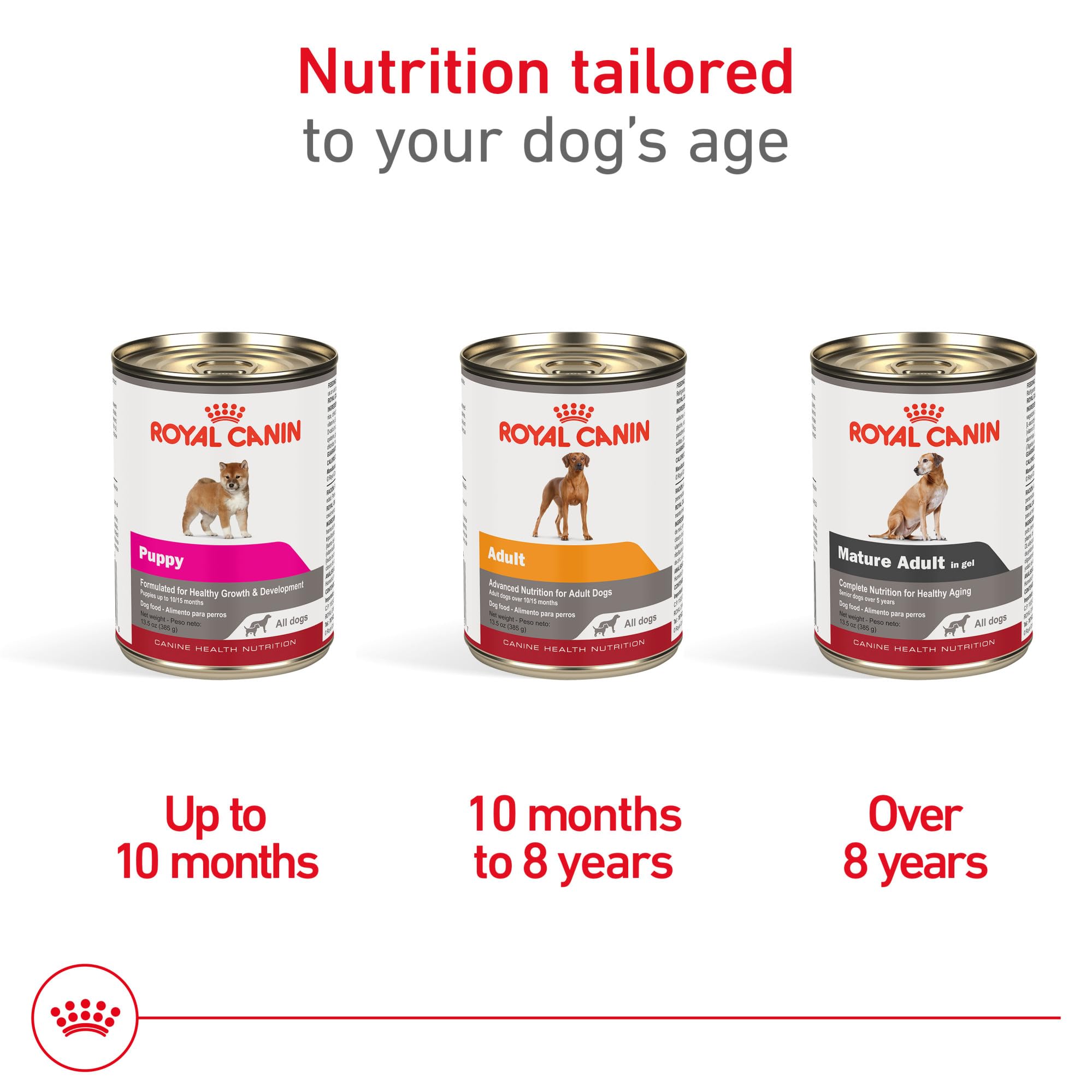 Royal Canin Cachorro Digestivo Saludable, fibra y proteinas faciles de digerir.