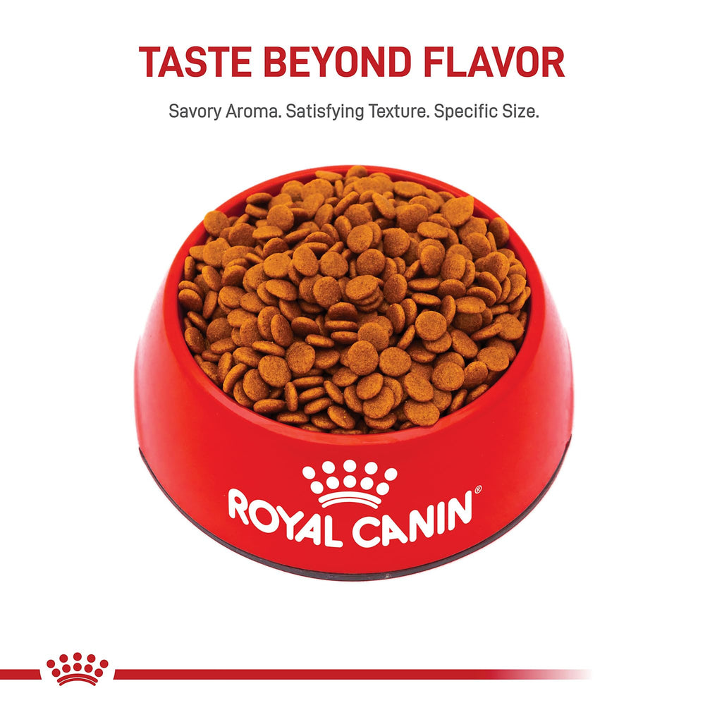 Royal Canin bolsa de 1,8 kg para cachorro mediano