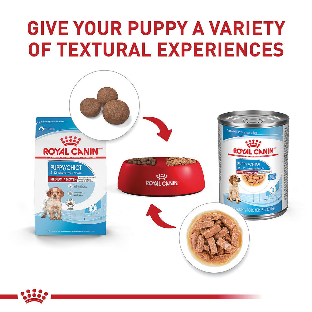 Royal Canin opción de mezcla con comida húmeda para textura variada