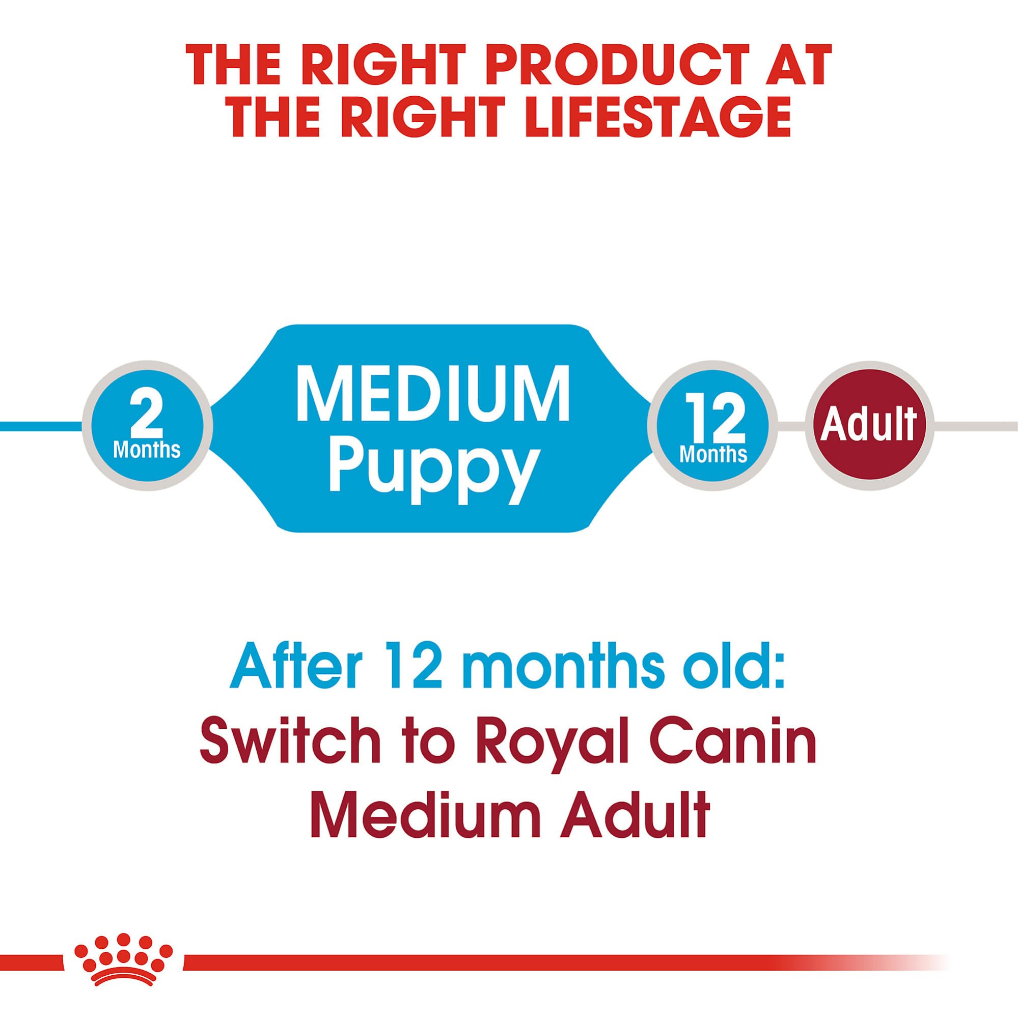 Royal Canin textura crocante que facilita la comida diaria
