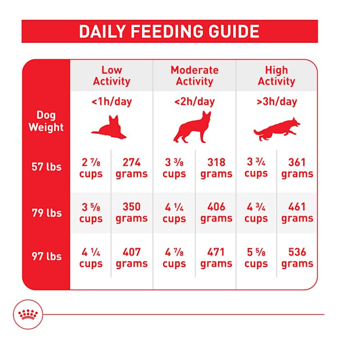 Royal Canin tamaño grande calidad y seguridad respaldadas por detalles.