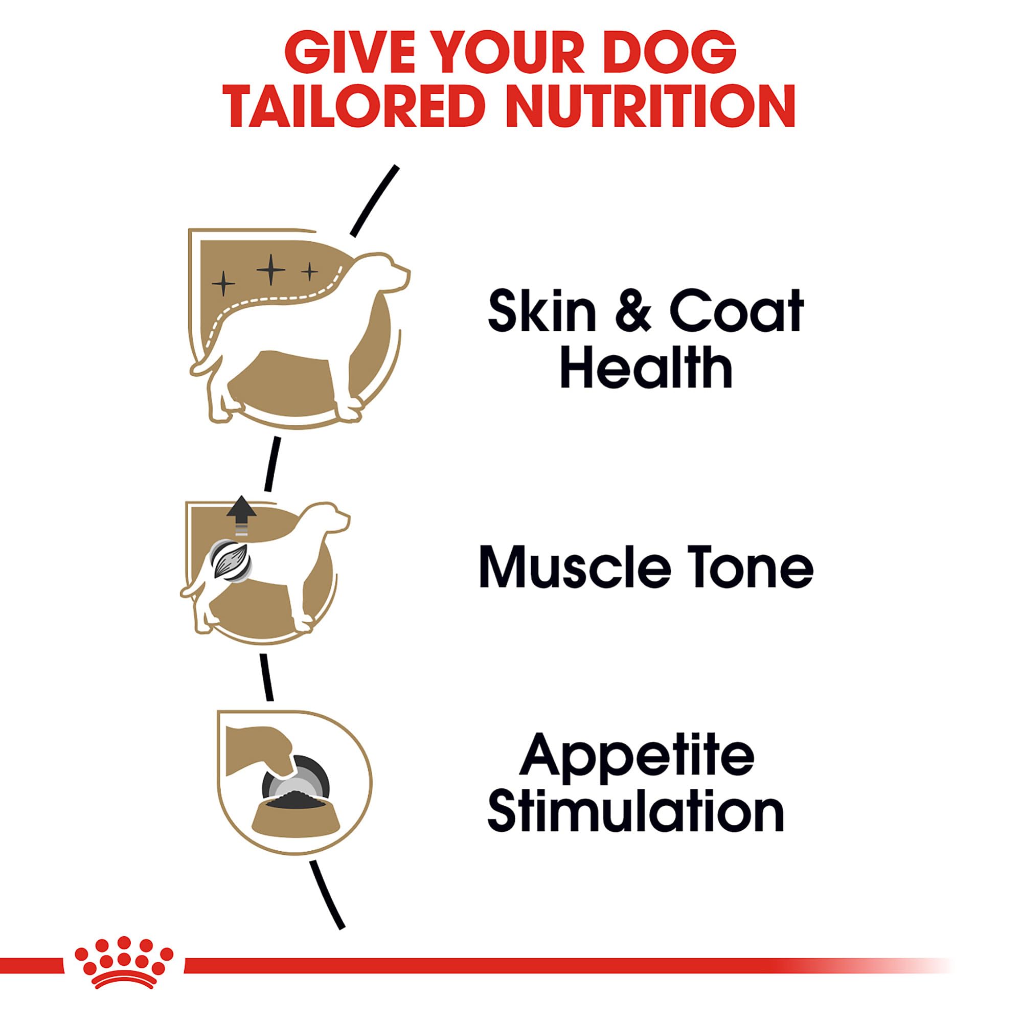 ROYAL CANIN Caniche Adulto: apoyo a piel y pelaje con omega-3