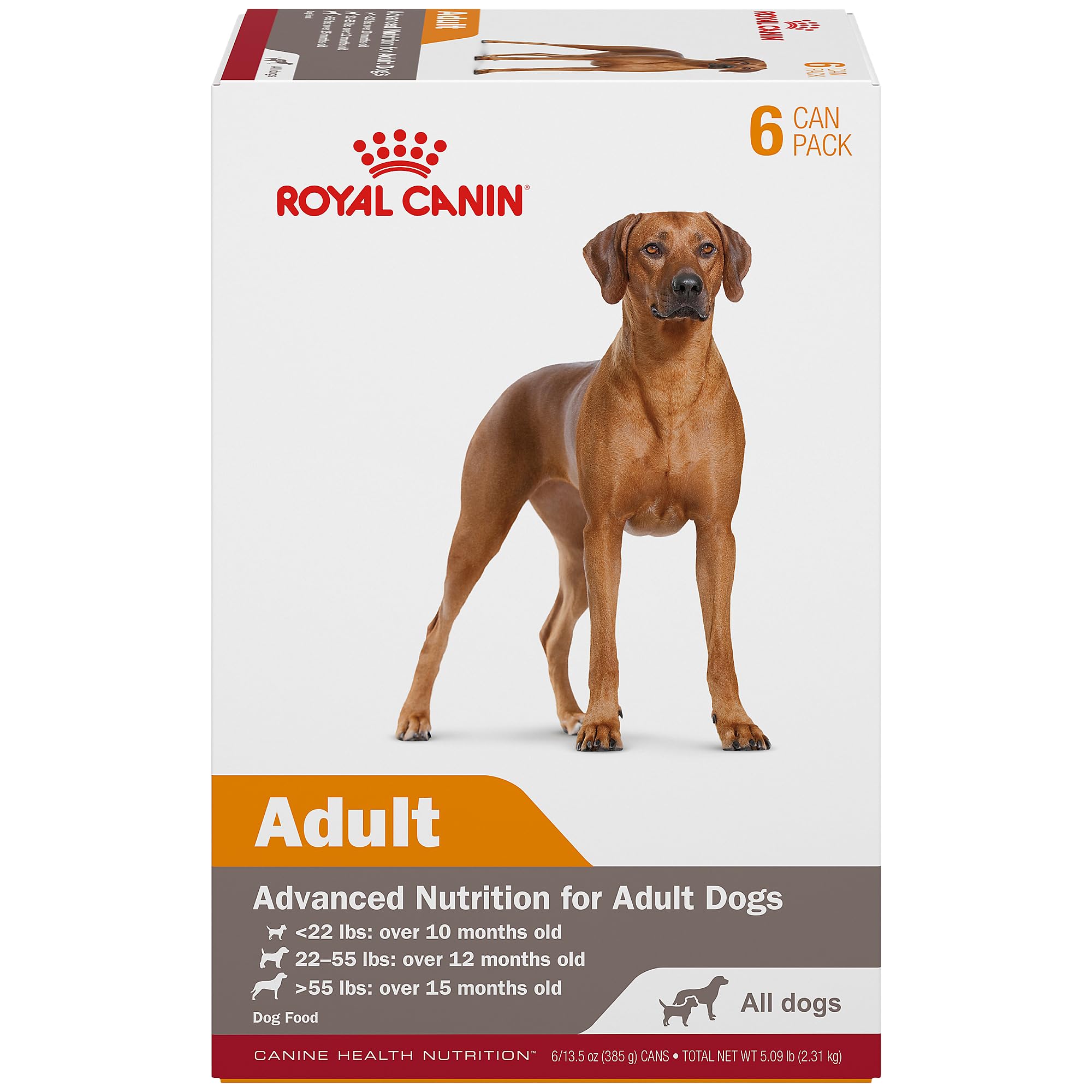 Royal Canin Adult en Gel: lata abierta muestra textura apetecible para el pelaje