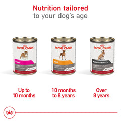 Paquete de 6 latas Royal Canin: opción conveniente para perros adultos