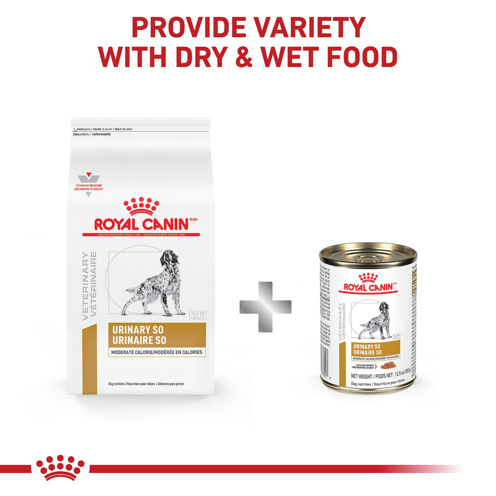 Royal Canin canino porciones diarias, guía de nutrición en envase.