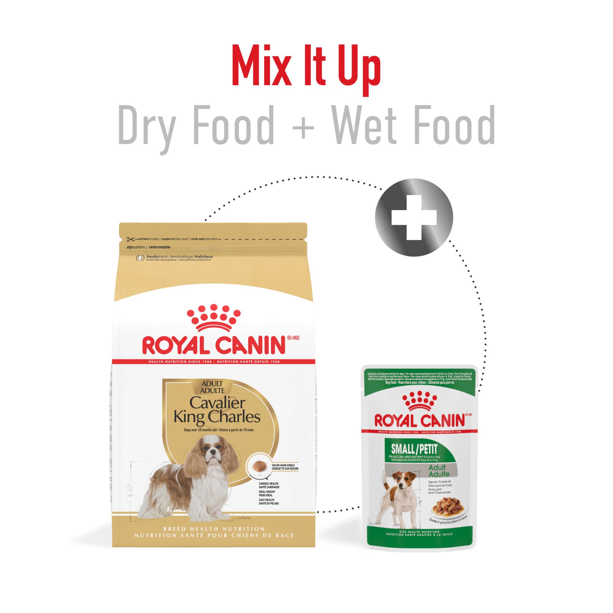 Royal Canin Cavalier King Charles Spaniel fórmula específica para raza Cavalier