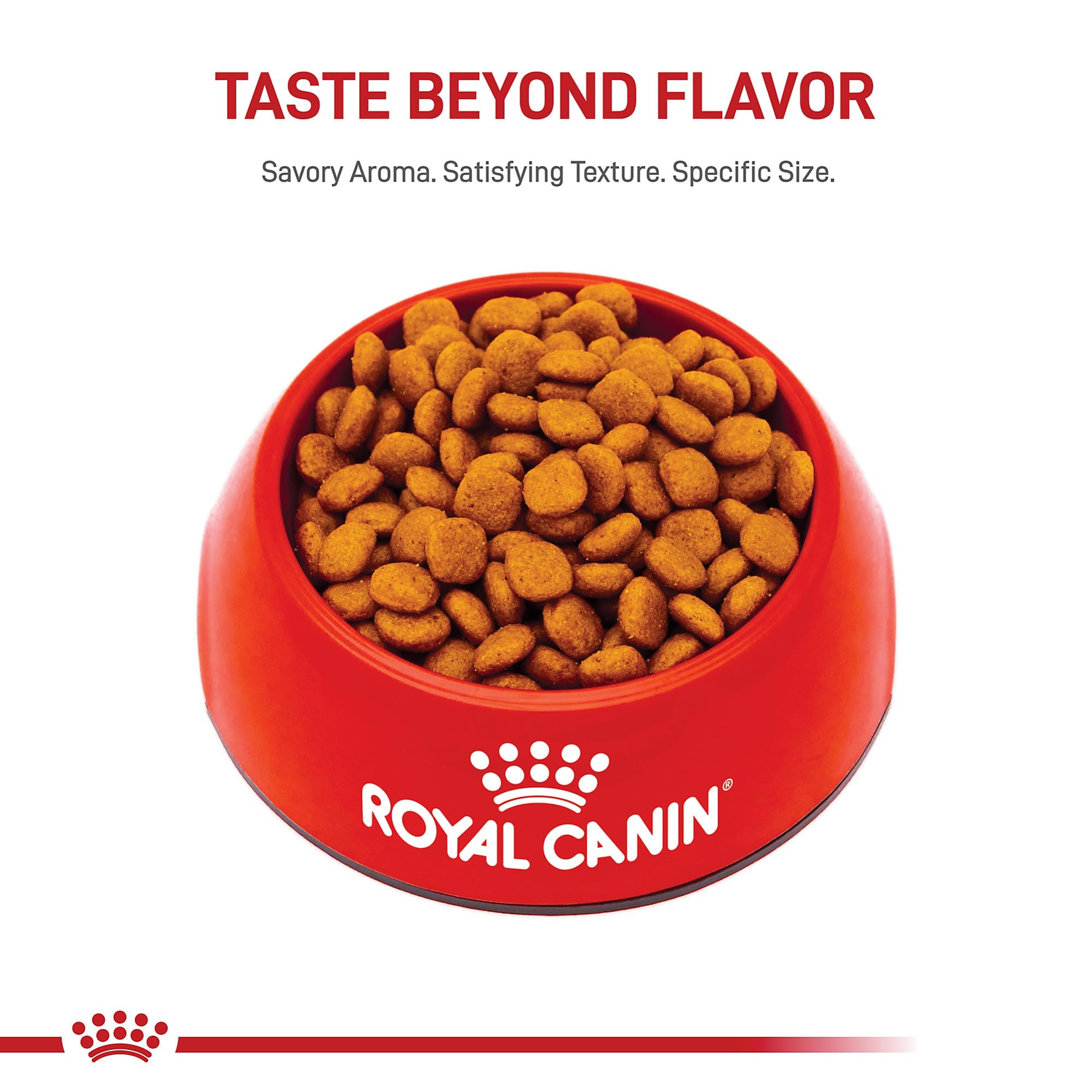 Royal Canin Cavalier King Charles Spaniel contiene omega-3 para pelaje suave