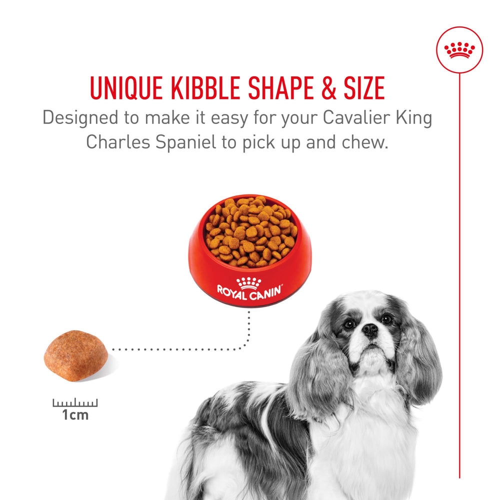 Royal Canin Cavalier King Charles Spaniel nutre piel y pelo con omega-3