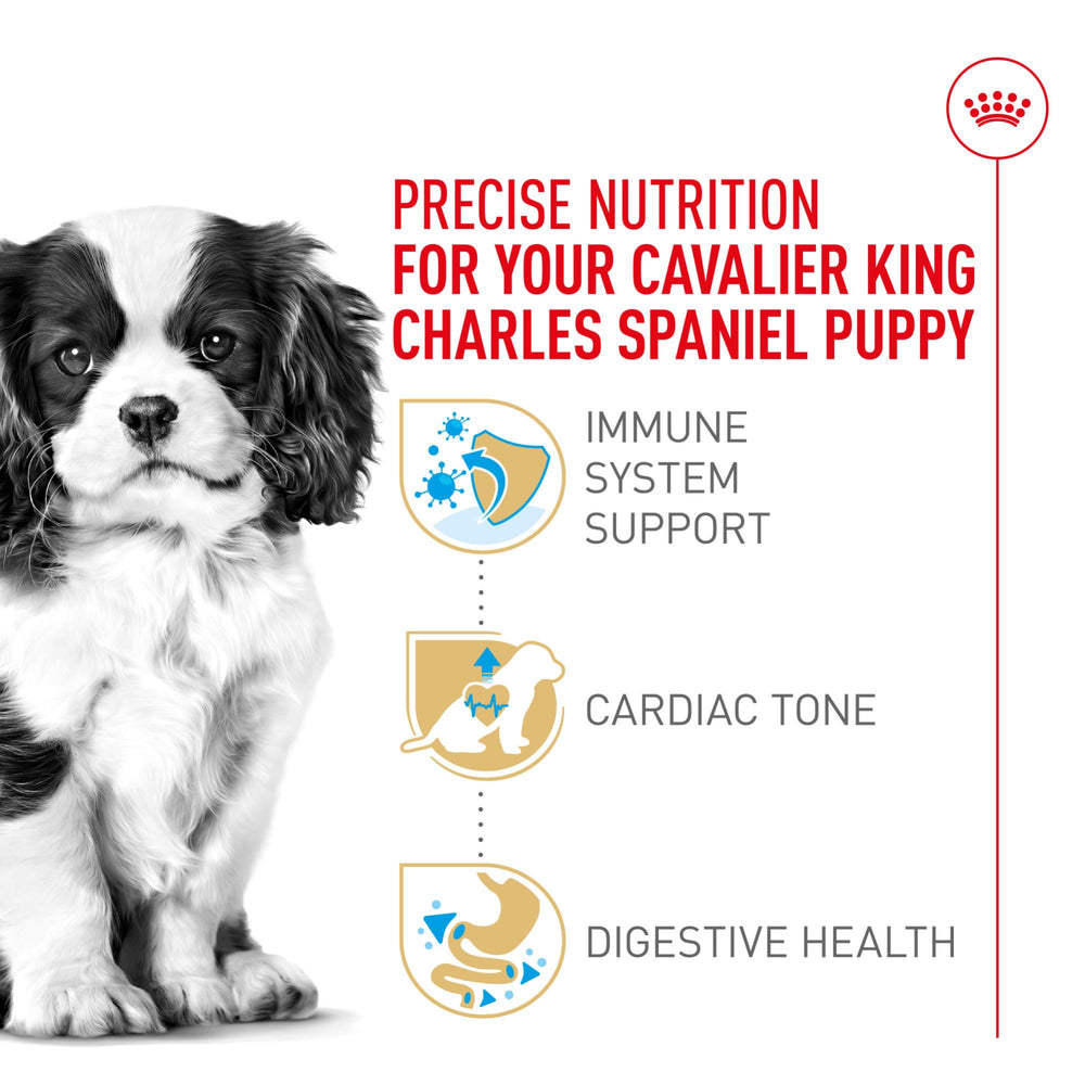 Complejo antioxidante y vitamina E para desarrollo inmunológico de Cavalier Puppy