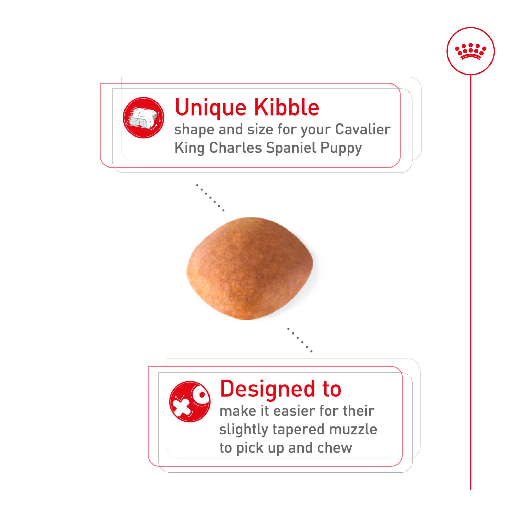 Croqueta especial de ROYAL CANIN Cavalier Puppy facilita la recogida y masticación