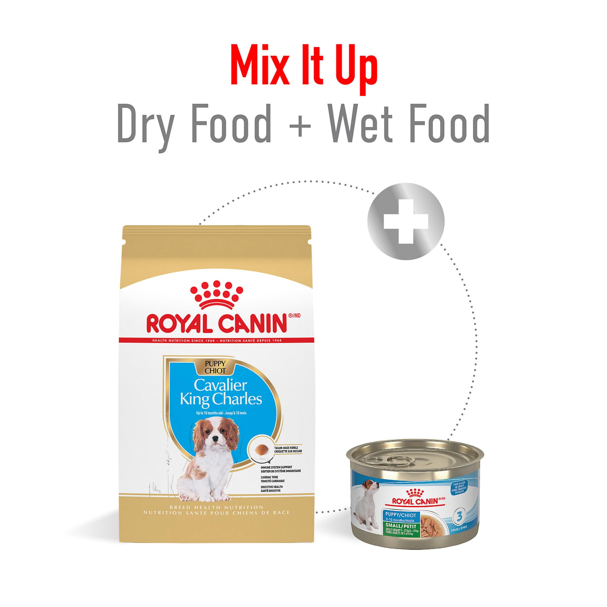 Proteínas de ROYAL CANIN y prebióticos para una digestión saludable
