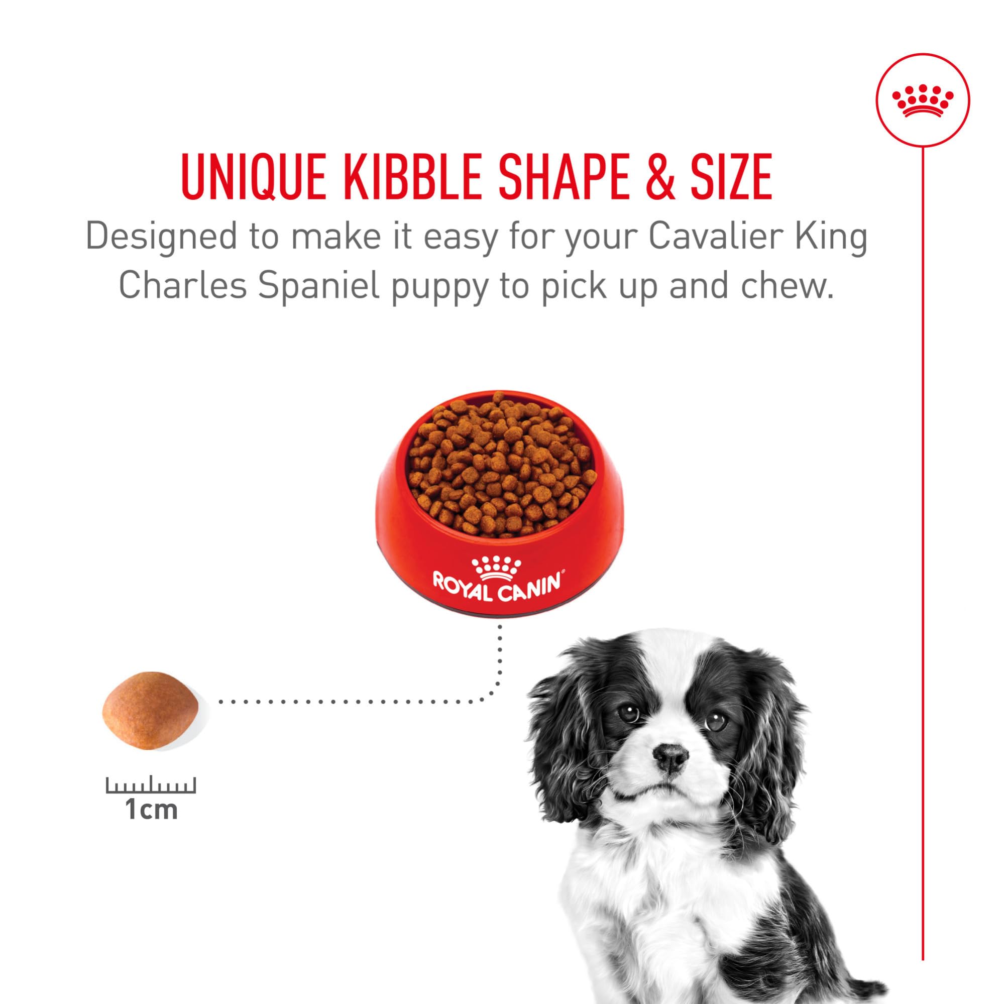 Taurina y EPA/DHA de ROYAL CANIN para la salud cardíaca de cachorros Cavalier