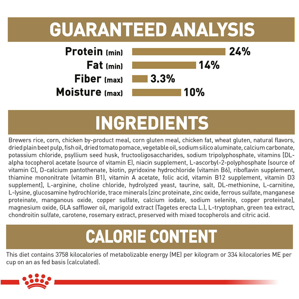 Royal Canin Chihuahua Adult 8+ antioxidantes para envejecimiento saludable