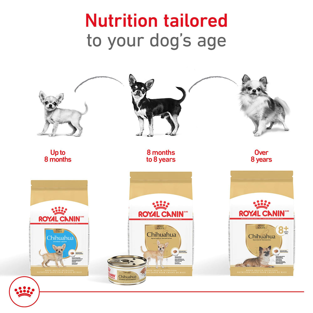 Royal Canin Chihuahua Adult 8+ favorece salud cardíaca con taurina EPA DHA