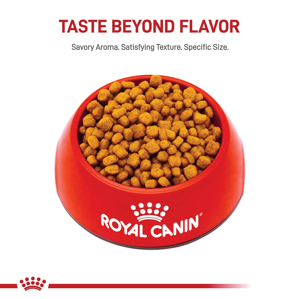 Imagen que sugiere mezcla con alimento húmedo para Royal Canin Chihuahua Adult