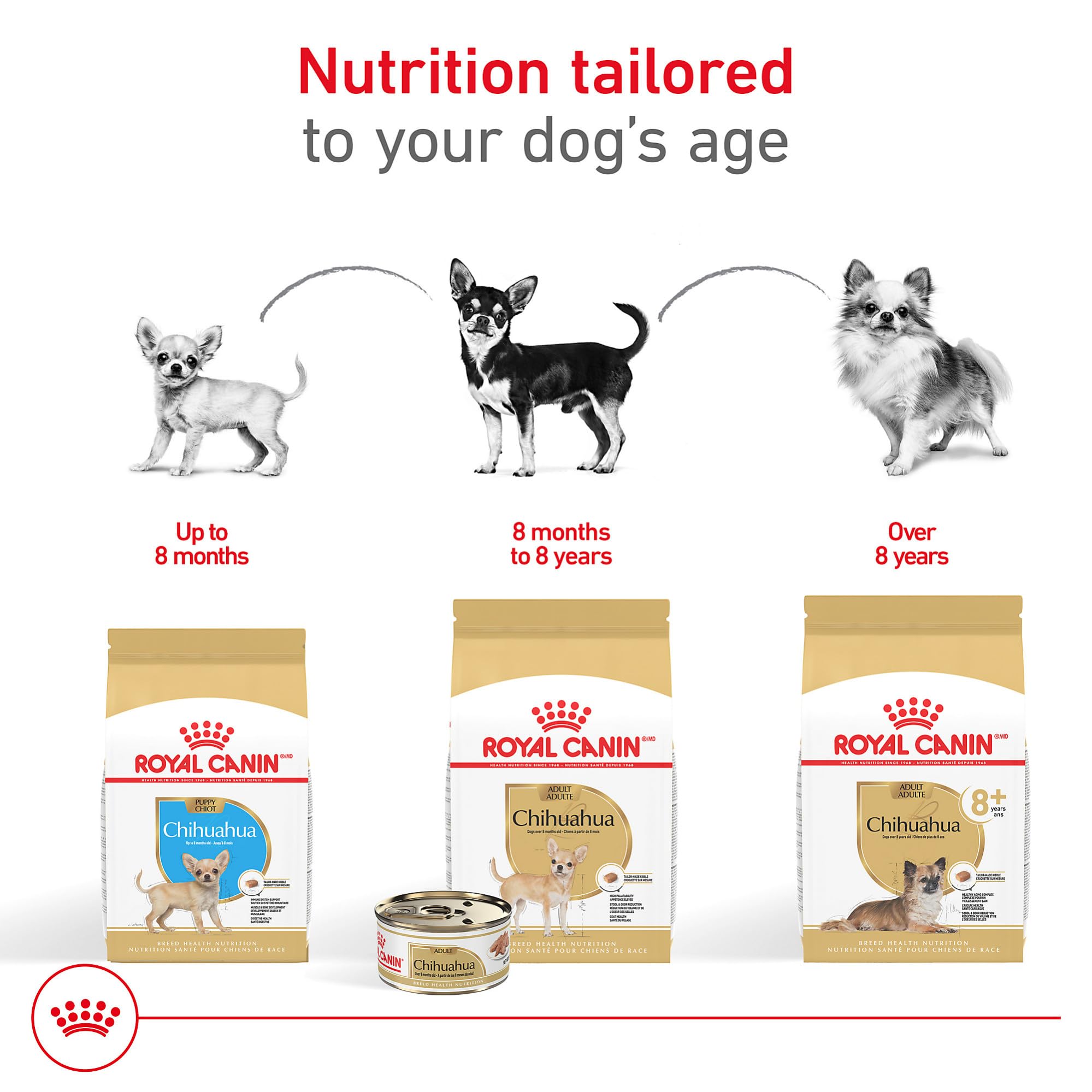 Royal Canin Chihuahua, fórmula para perros pequeños con necesidades digestivas específicas.