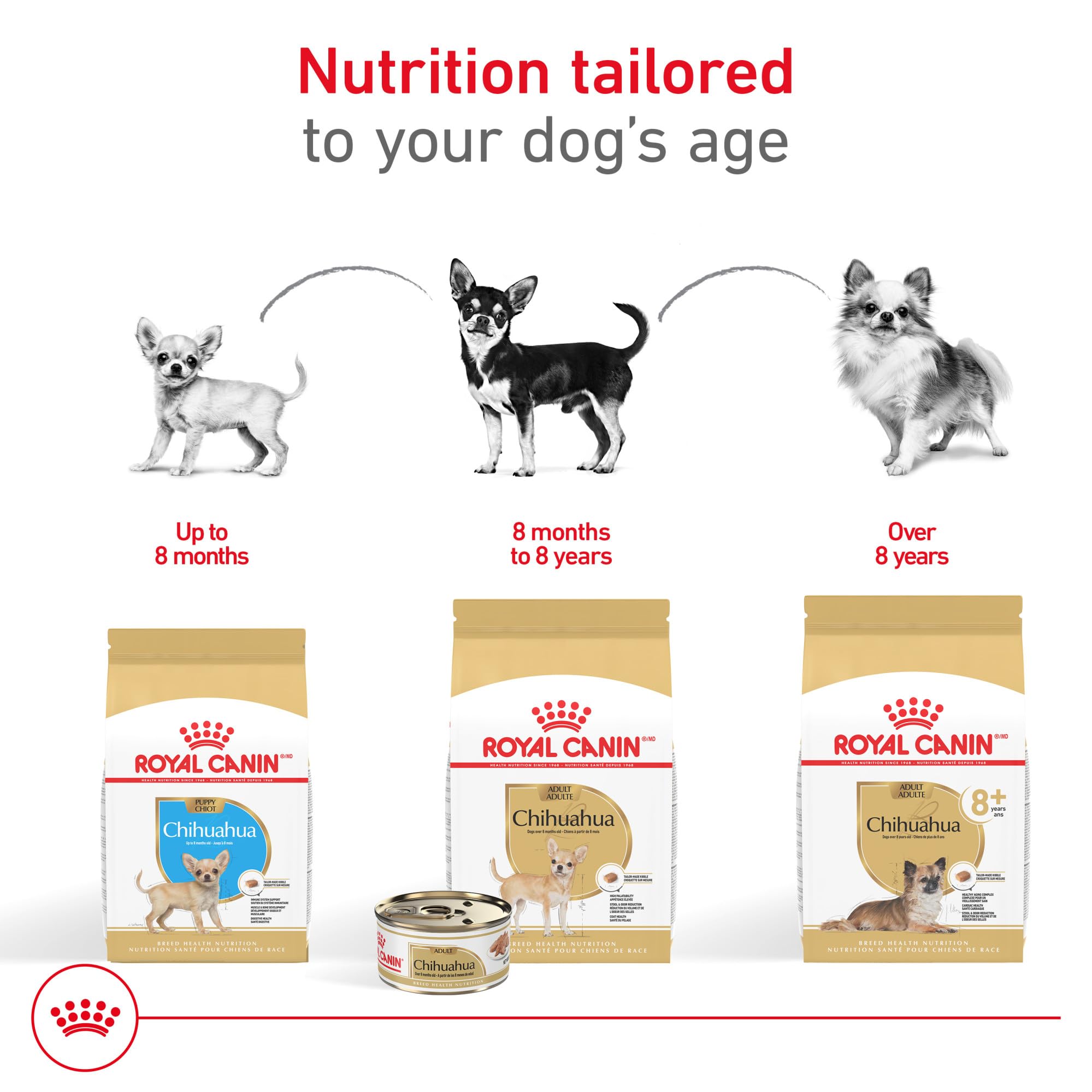 Royal Canin Chihuahua: dieta completa que puede servir sola o con croquetas secas.