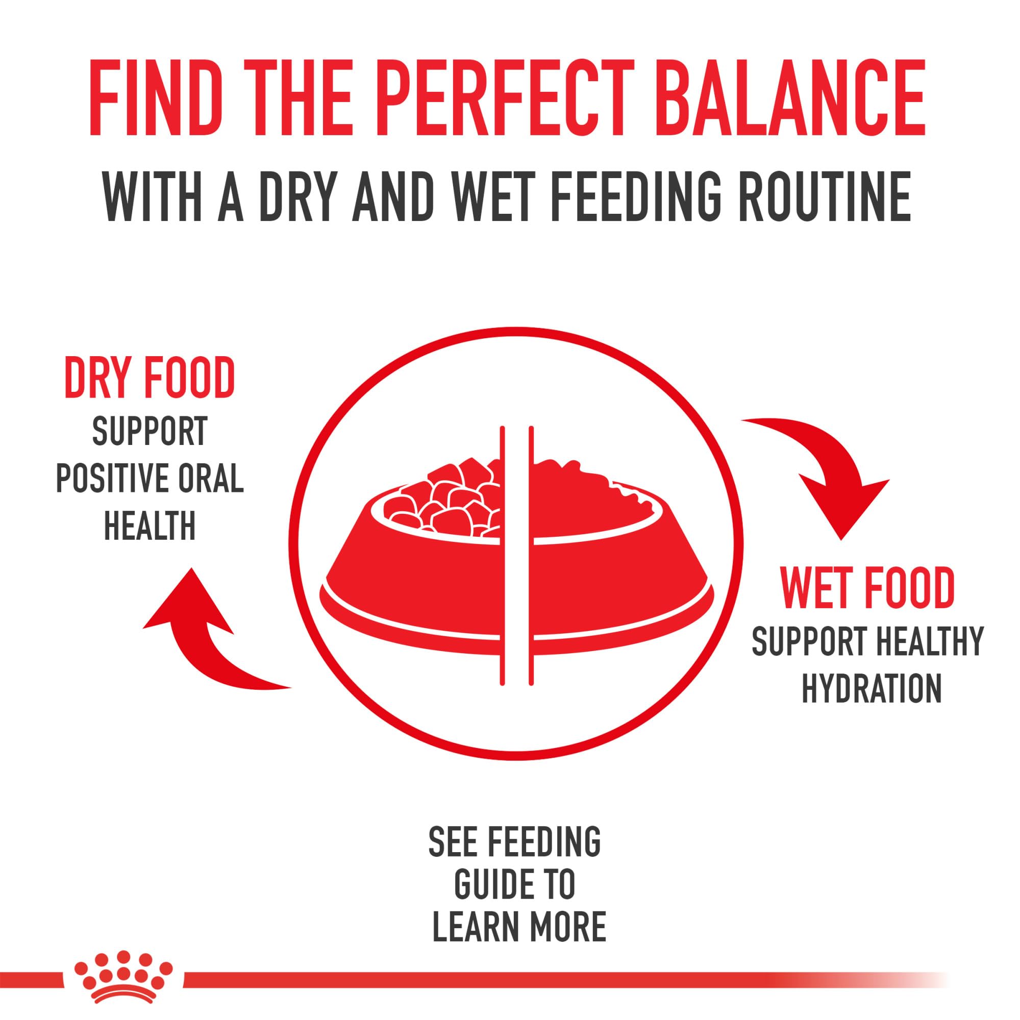 Royal Canin Chihuahua: digestión óptima con fibras solubles e insolubles.