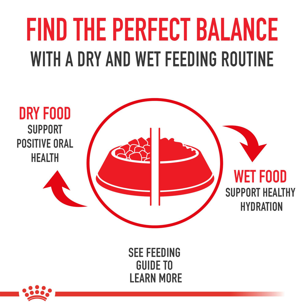Royal Canin Chihuahua: digestión óptima con fibras solubles e insolubles.