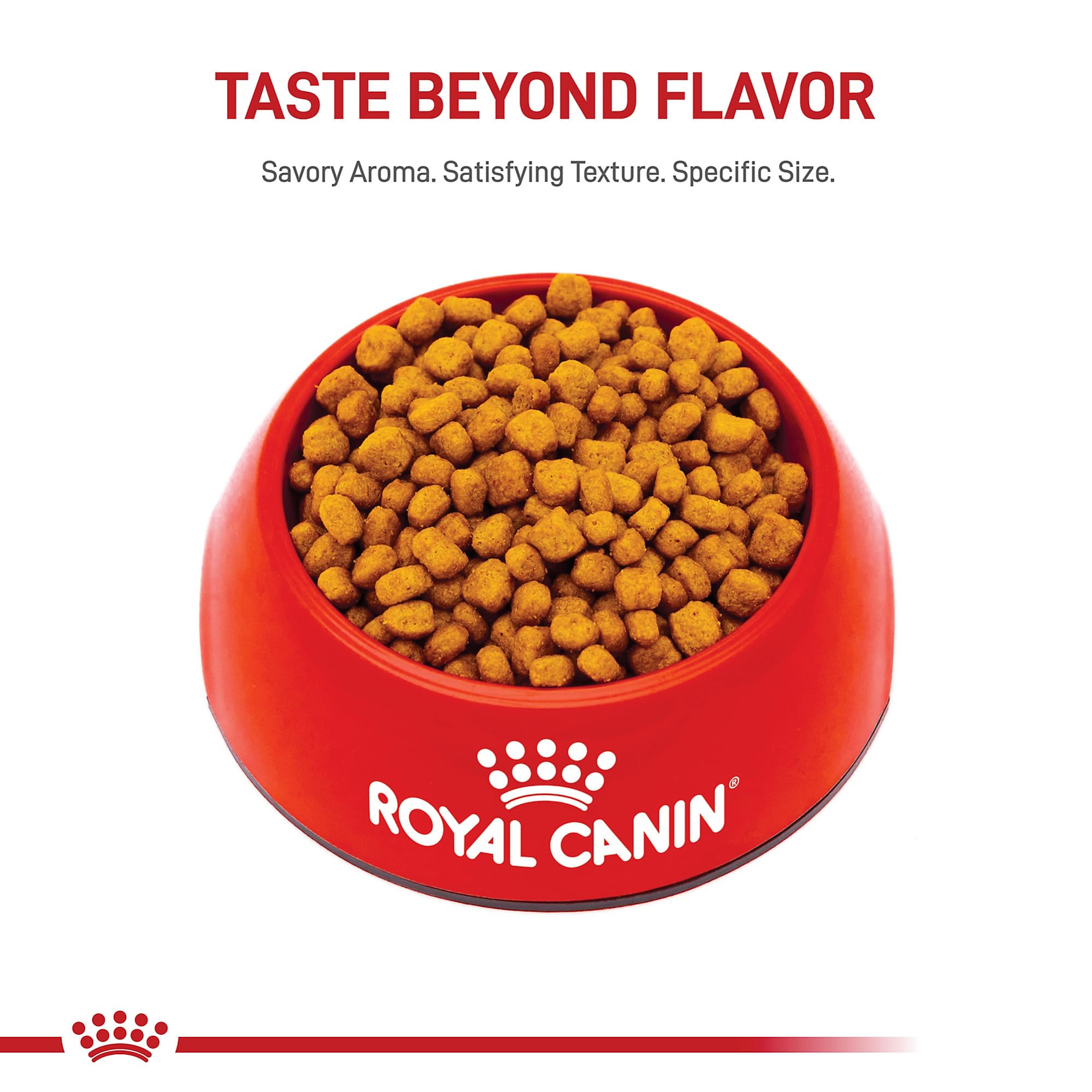 Royal Canin Chihuahua, diseño de kibble para masticación en mordida pequeña.