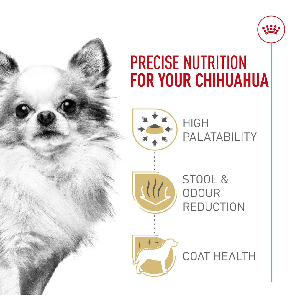 Royal Canin Chihuahua, piel y pelaje más sanos gracias a EPA, DHA y biotina.