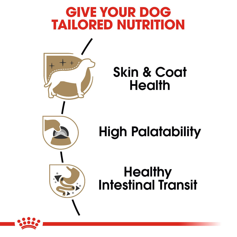 Royal Canin Chihuahua: piel y pelo saludables gracias a EPA/DHA.