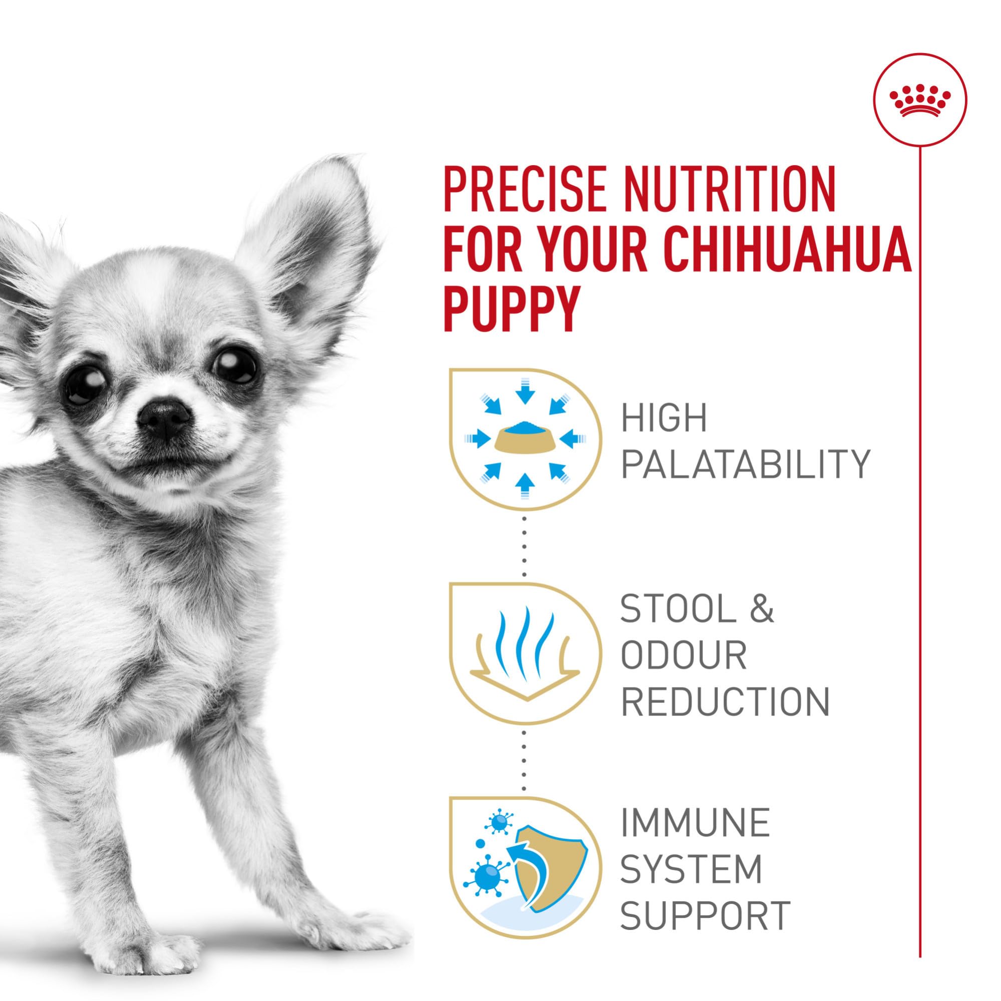 ROYAL CANIN Chihuahua Puppy, antioxidantes y vitamina E para defensa inmunitaria.