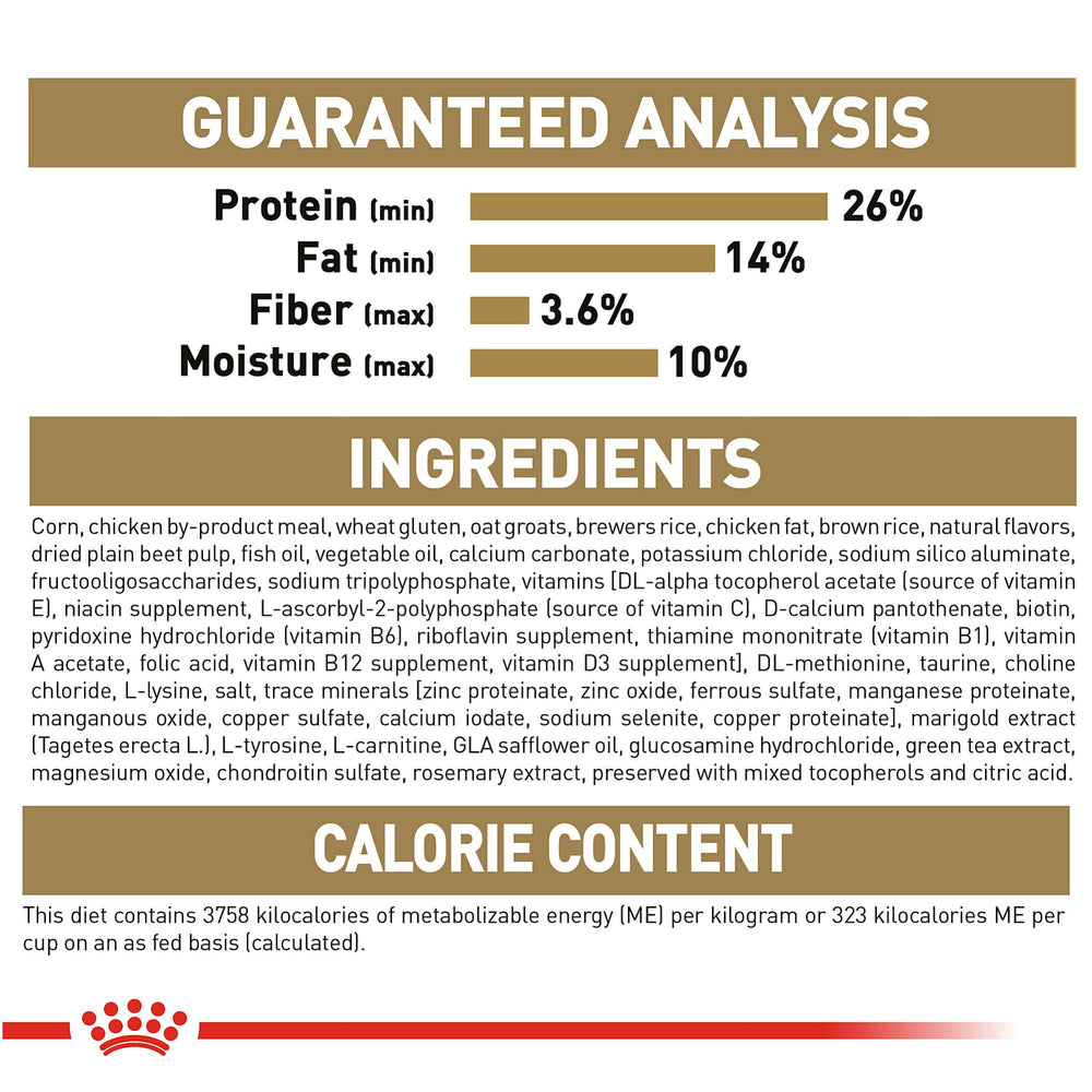 Royal Canin Chihuahua, textura y aroma que pueden apoyar la experiencia de comer.