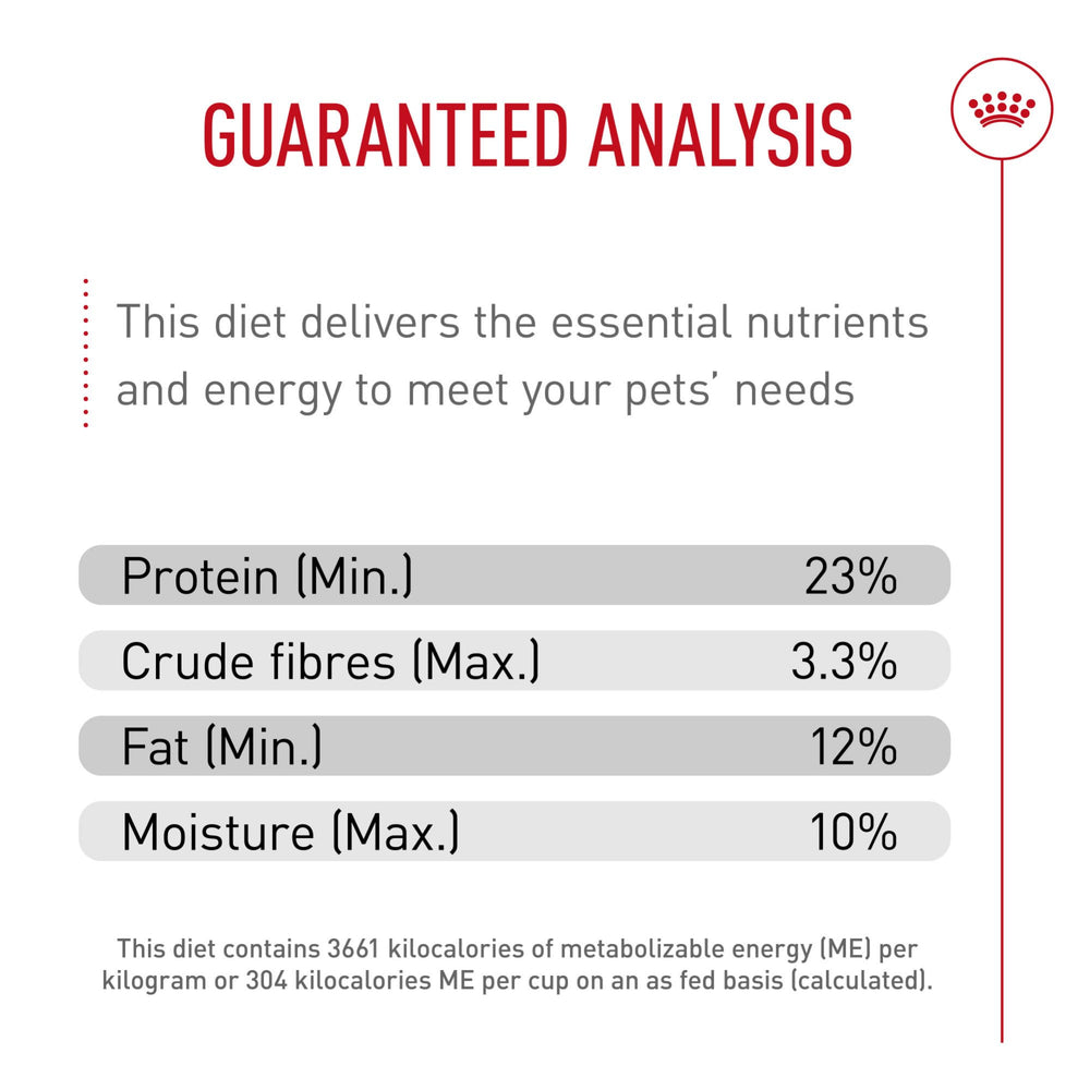 Royal Canin Cocker Spaniel Adulta, kibble especial para hocico cuadrado