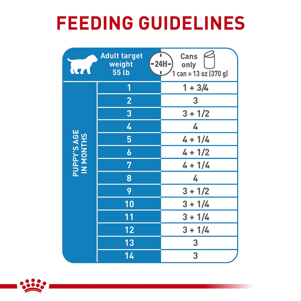 Royal Canin Comida Húmeda Completa - Nutrición equilibrada para perros grandes