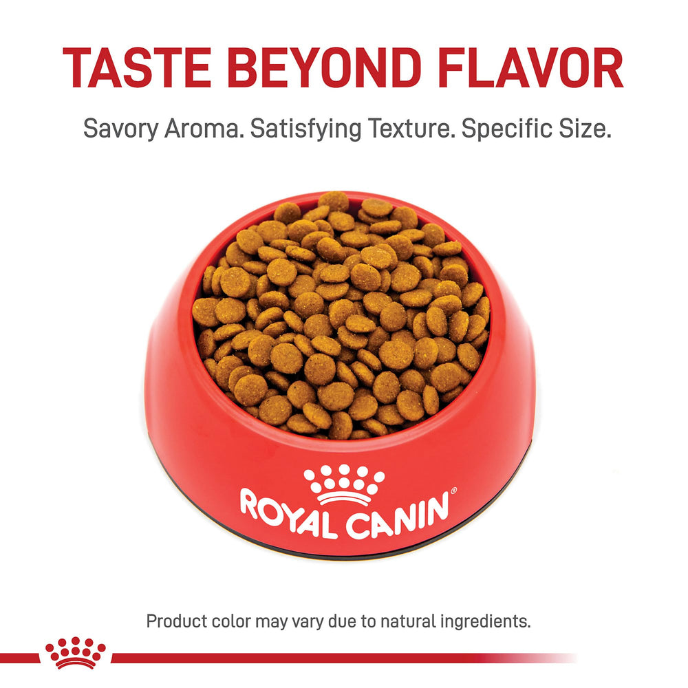 Royal Canin Hair & Skin Care aporta omega-3 y omega-6 para piel.