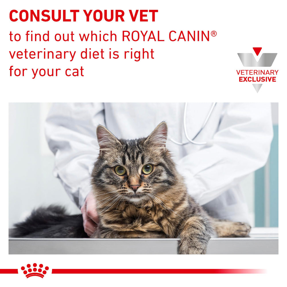 Royal Canin porciones de dieta felina para transición y adherencia a la dieta.