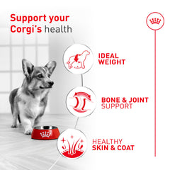 Cerca de las croquetas de Royal Canin Corgi Adult, tamaño diseñado para la mandíbula de Corgis.