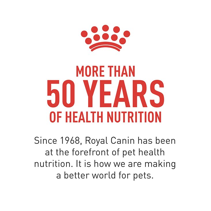 Diseño y formulación científica de Royal Canin Corgi Adult para uso diario.