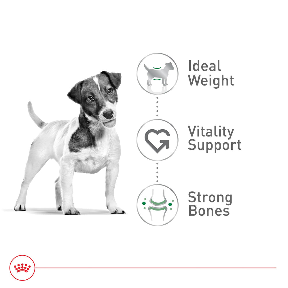 Mezcla de vitalidad de Royal Canin para apoyar la vitalidad en edades avanzadas