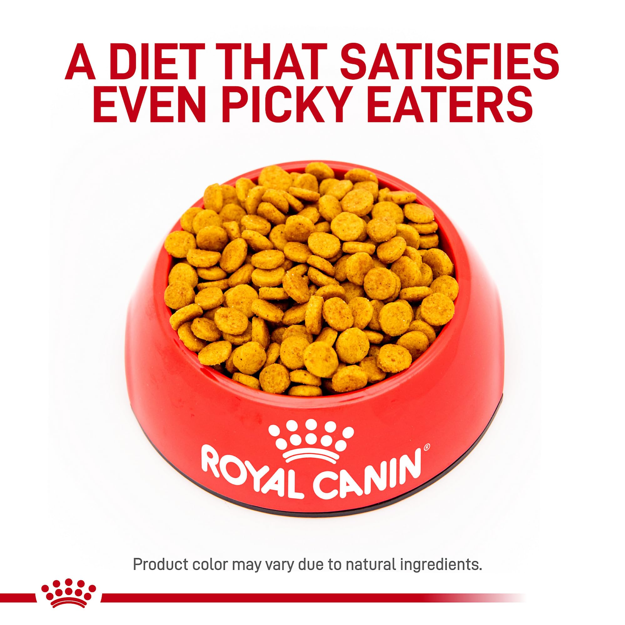 Croquetas de tamaño pequeño de Royal Canin que facilitan la masticación.