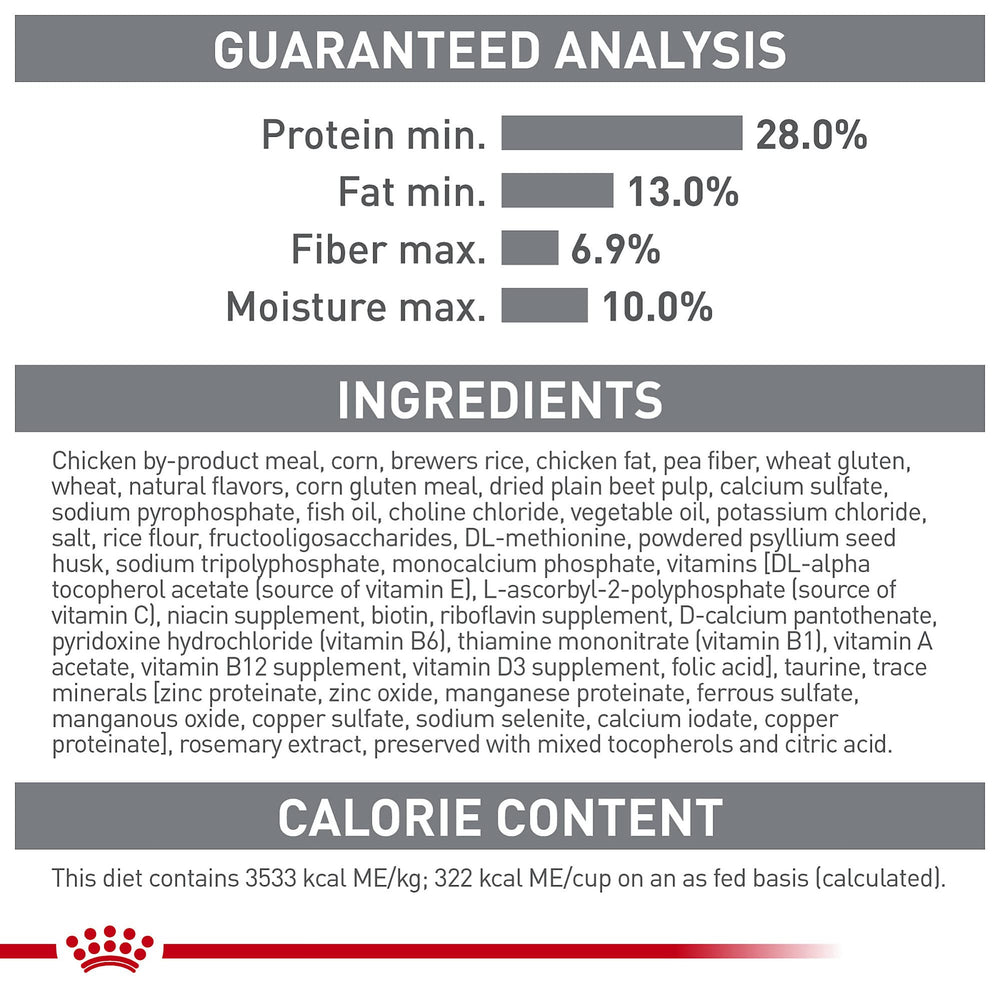 Primer plano de croquetas para higiene bucal regular.