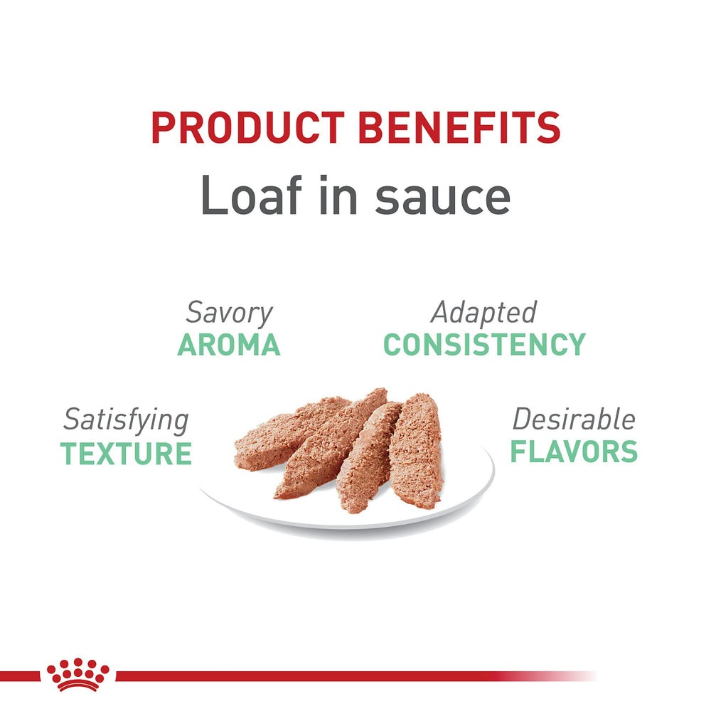 Royal Canin Cuidado Digestivo en salsa, presentación en tarrina de 3oz, beneficios digestivos.