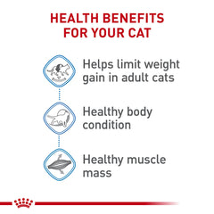 Royal Canin Cuidado Felino: kibble dorado con textura atractiva para alimentarse