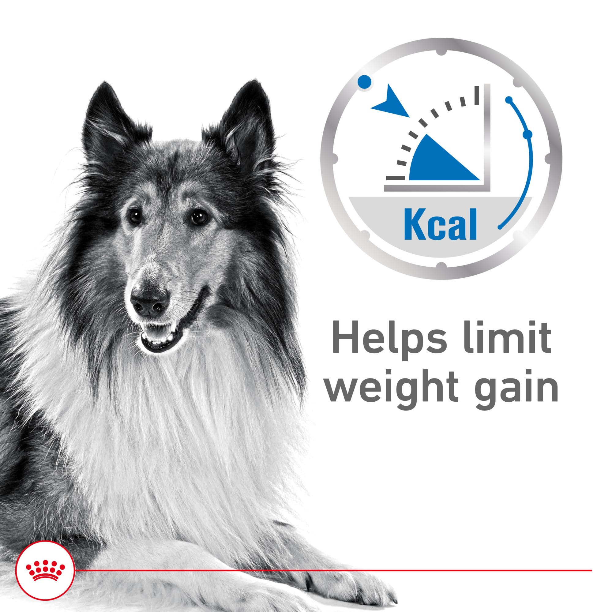 Royal Canin Cuidado de Peso: textura suave en salsa para perro adulto, fácil de comer.