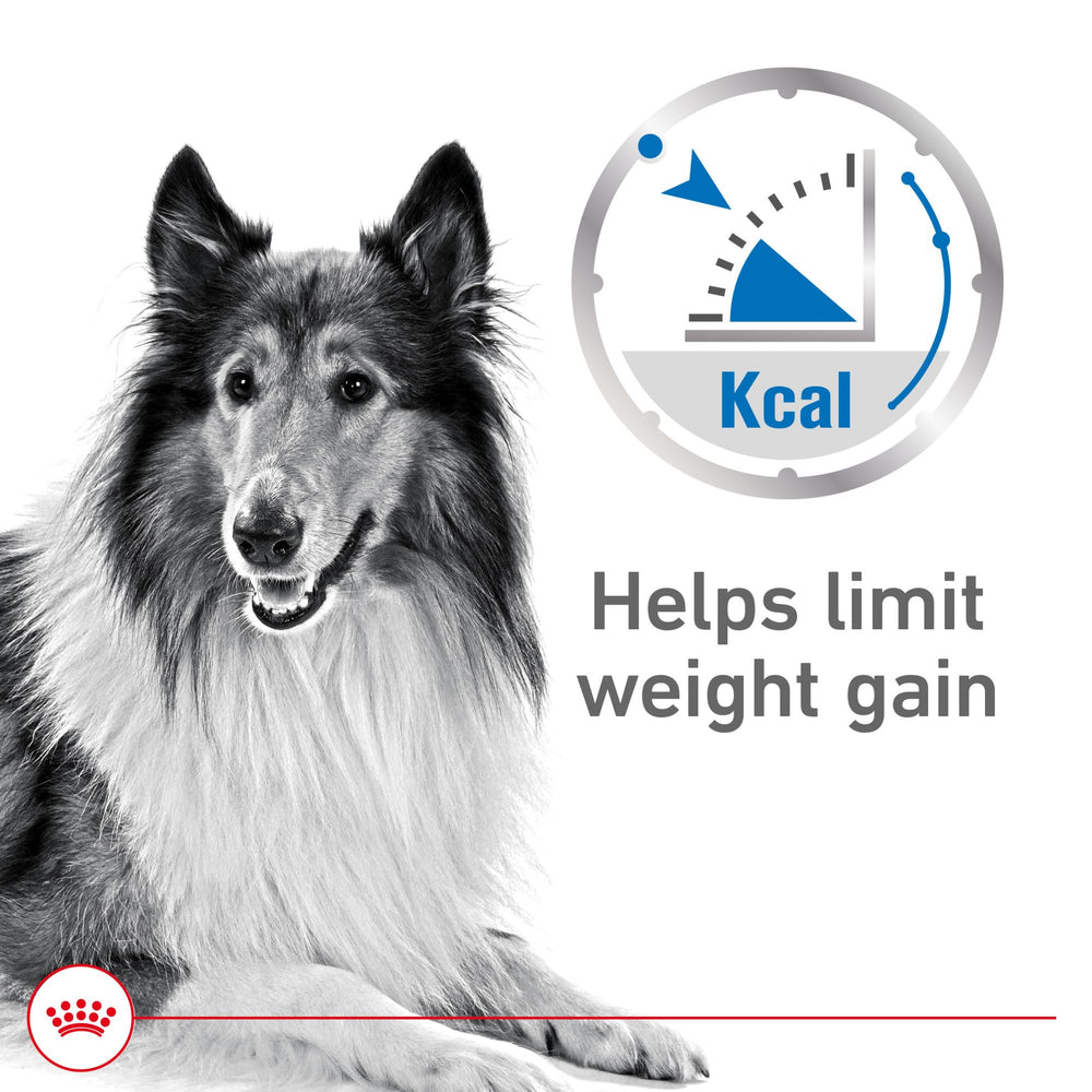Royal Canin Cuidado de Peso: textura suave en salsa para perro adulto, fácil de comer.