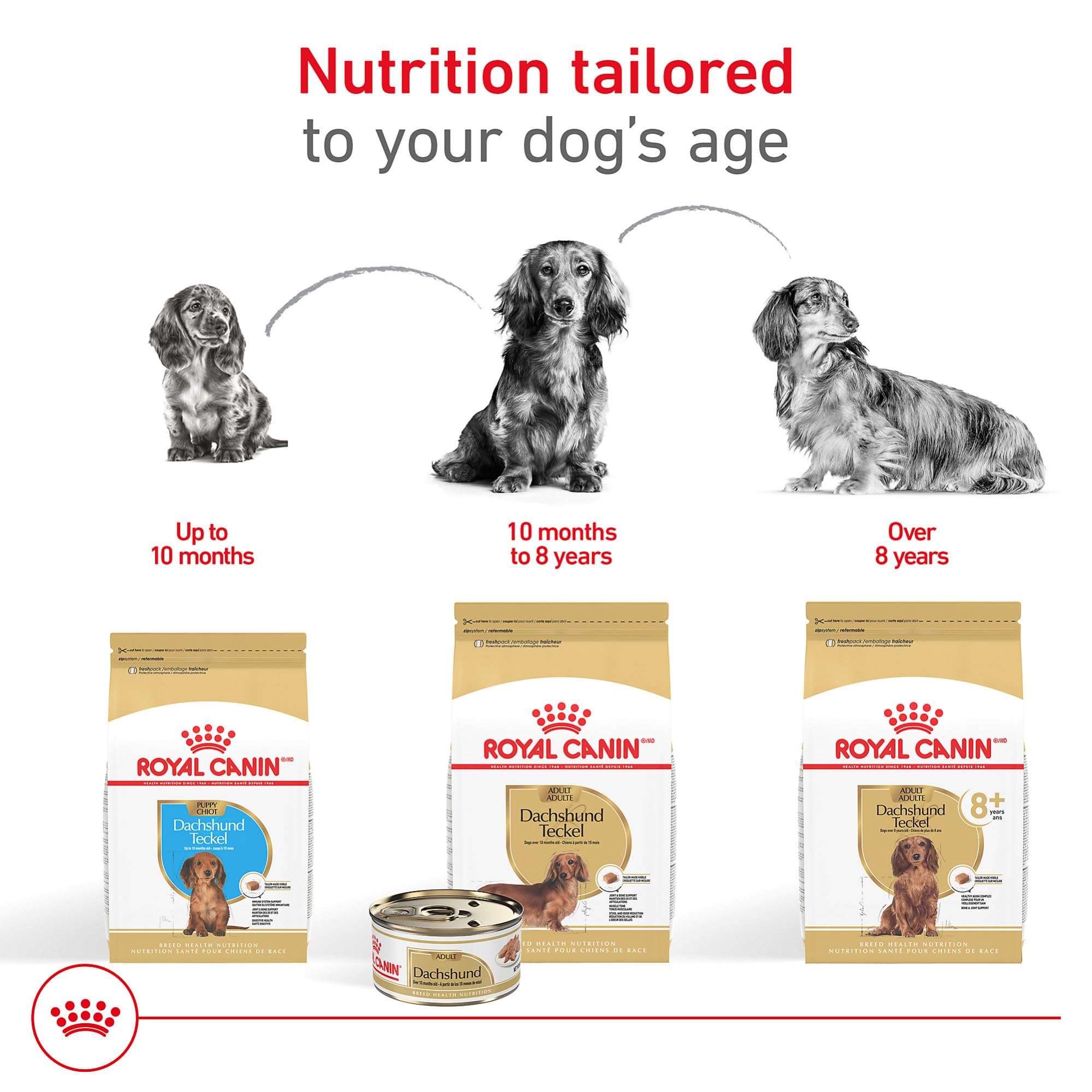 Royal Canin Dachshund 8+ antioxidantes para apoyar envejecimiento natural.