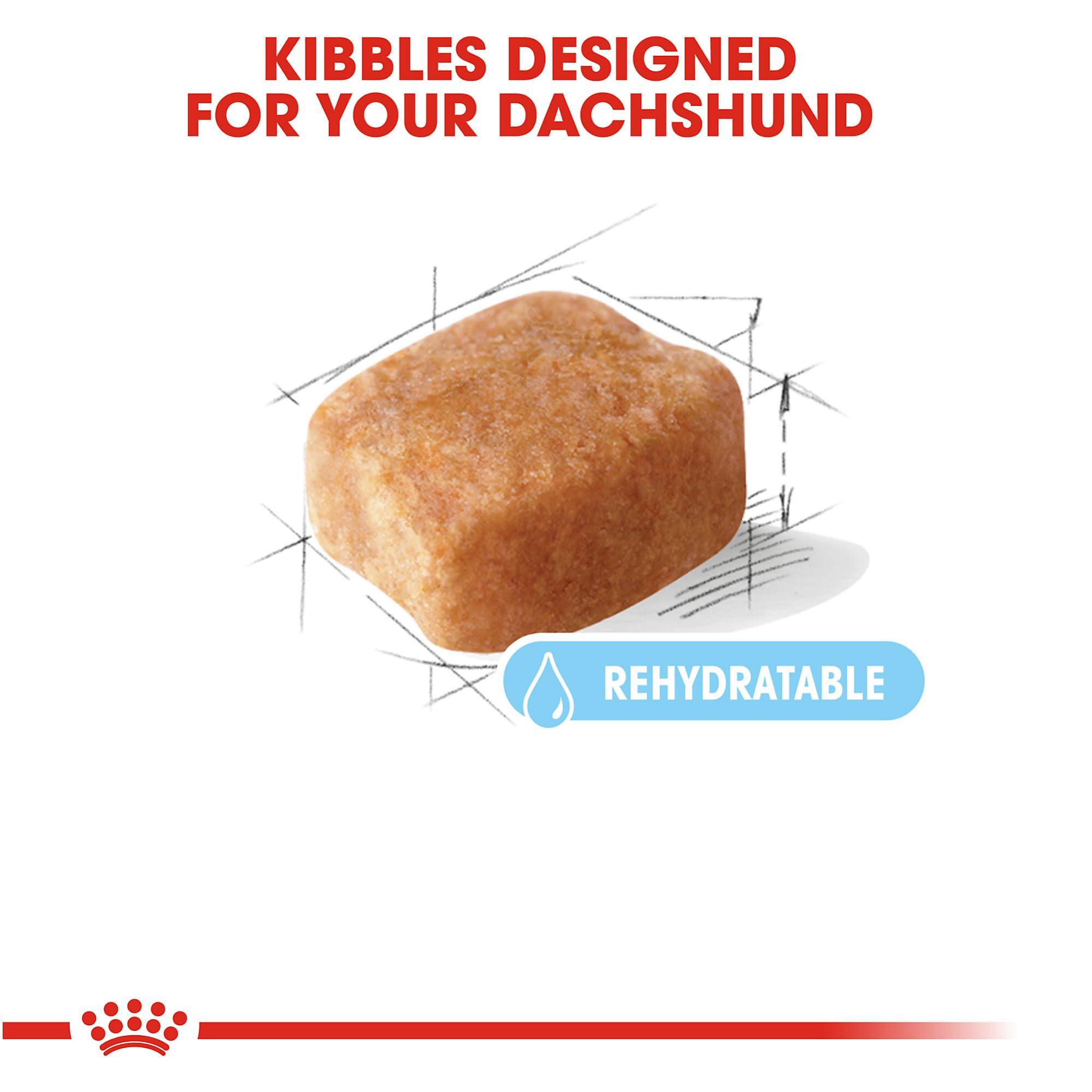 Royal Canin Dachshund 8+ envase de 3 lb para conservar frescura.