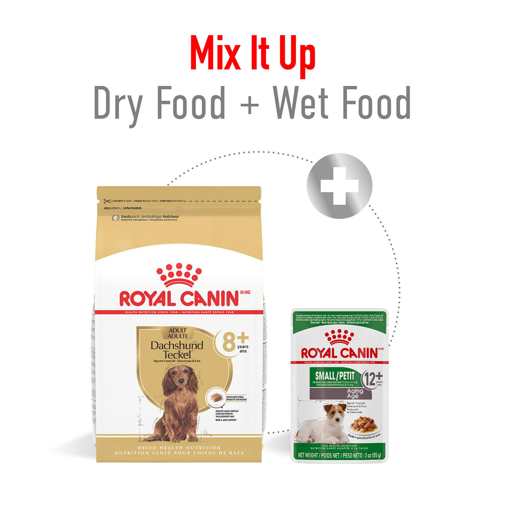 Royal Canin Dachshund 8+ sabor premium para mascotas mayores.